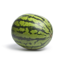 Watermelon Seed Oil - Virgin Organic