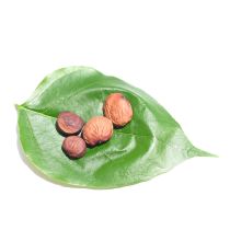 Karanja Oil - Virgin