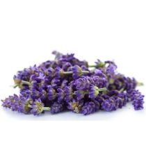 Lavandin Oil - Grosso Organic