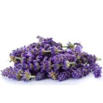 Lavandin Oil - Grosso 