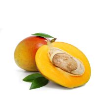 Mango Butter - Organic