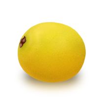 Marula Oil - Virgin Organic