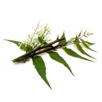 Neem Oil -  Virgin