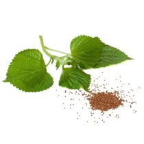 Perilla Seed Oil - Organic