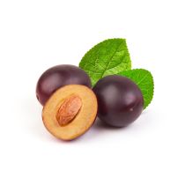 Plum Kernel Oil - Virgin