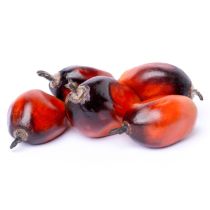 Red Palm Oil - Virgin Organic
