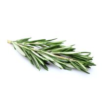 Rosemary Oil