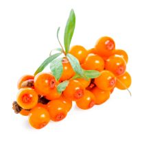 Sea Buckthorn Fruit Oil - Virgin Organic