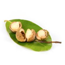 Tamanu Oil - Virgin Organic