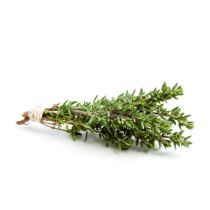 Thyme Oil