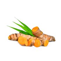 Turmeric Oil - CO2 Extracted