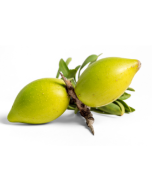 Argan Oil - Virgin Organic