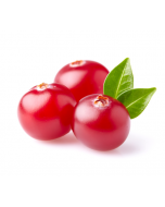 Cranberry Seed Oil - Virgin Organic