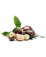 Macadamia Nut Oil - Virgin