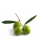 Olive Oil - Pomace