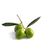 Olive Wax