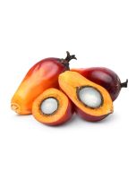 Palm Fruit Oil - Organic