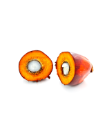 Palm Kernel Oil - Organic RSPO MB