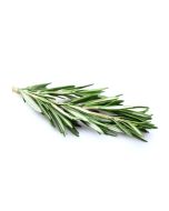 Rosemary Extract - 5% - Organic