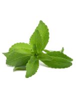 Stevia Extract Powder 97% - Organic