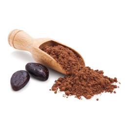 Buy Bulk - Cocoa Powder Black Dutched 10/12 Fat - Organic - 12.5 kg (27.5  lbs)