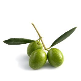 Squalane (Olive Based) - Blossom Bulk