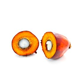 Organic Palmfruit Shortening (RBD/S)
