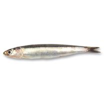 Omega-3 Fish Oil - 18% EPA & 12% DHA - Kosher