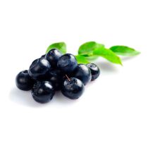 Bilberry Seed Oil - Virgin