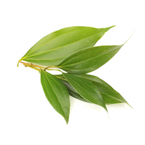 Cinnamon Leaf Oil - Organic