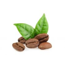 Coffee Beans-Nicaraguan French Roast-Organic Fair Trade