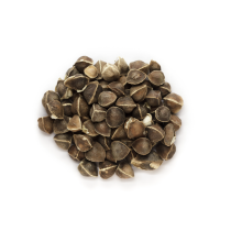 Moringa Oil - Refined Organic 