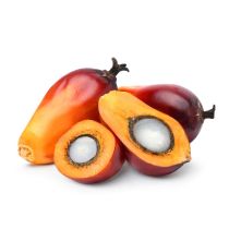 Red Palm Oil - Virgin Organic