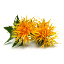 Safflower Oil - High Oleic Organic