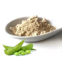 Soy Lecithin - Powder Organic