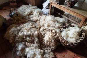 shorn wool overflowing a wooden basket onto the floor